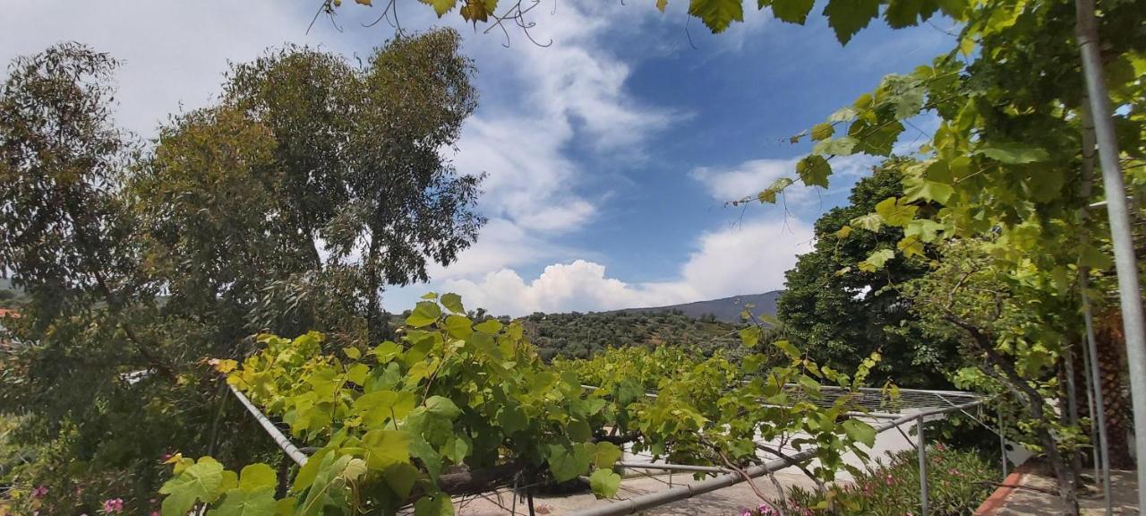 לימנריה Villa Gonates מראה חיצוני תמונה